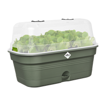 green basics grow tray allin1 m leaf green